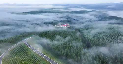 塞罕坝精神解码：红色基因如何淬炼执政能力？