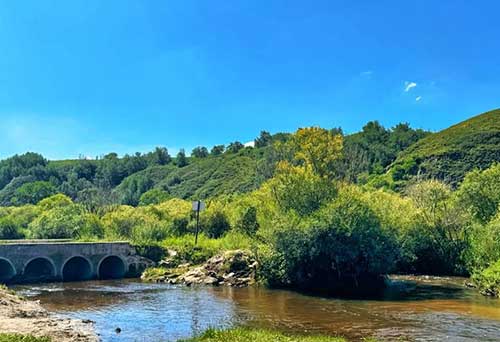 塞罕坝精神与核心价值观：绿色发展的教育启示