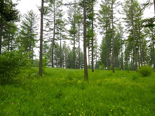 塞罕坝党建教育基地：历史深度铸就特色教育新标杆