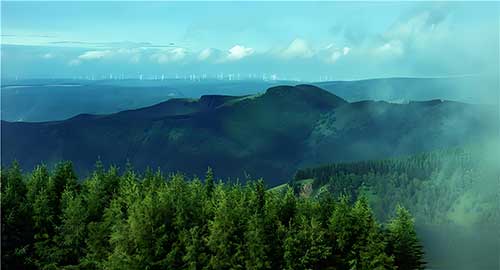 塞罕坝教育基地：红色文化如何重塑干部思维，提升群众获得感？