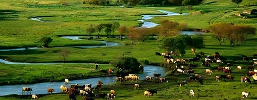 塞罕坝教育基地：党员干部党性修养与实践能力提升的绿色密码