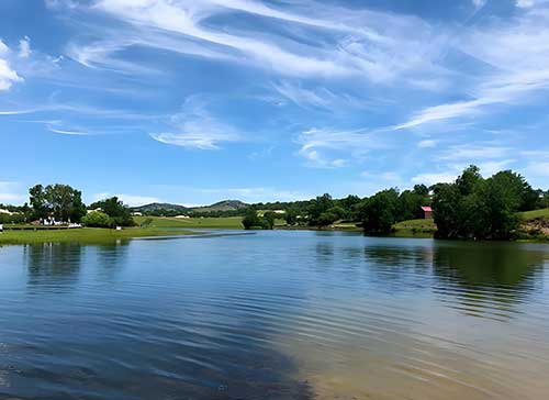 塞罕坝精神育英才：锻造新时代基层骨干的