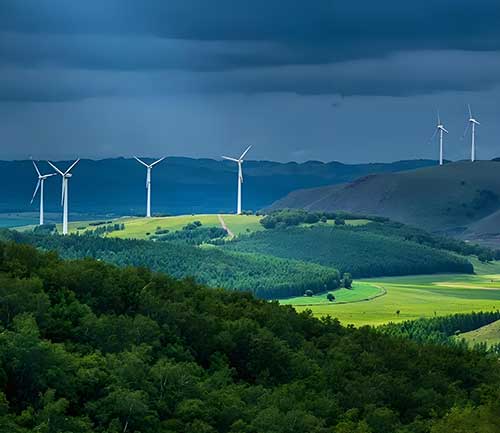 塞罕坝教育基地：新时代干部政治素养提升的必看实践课堂