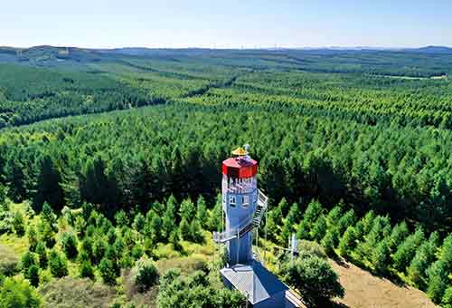 塞罕坝红色资源如何赋能大思政？这3个方法让深度学习更高效