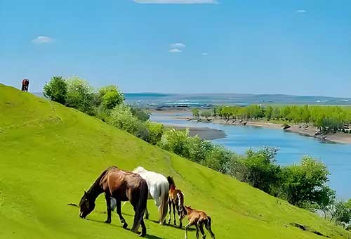 塞罕坝精神：生态文明建设的绿色密码与现实启示