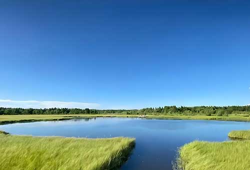 三维课堂筑魂塞罕坝绿色精神传承与创新