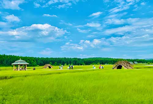 如何用塞罕坝精神筑牢党员防腐墙？