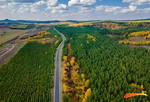 塞罕坝精神：新时代赶考路上的绿色动力源泉