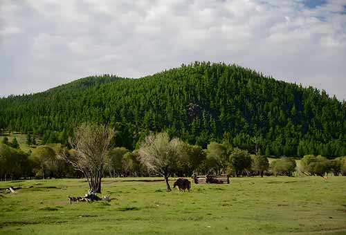 塞罕坝精神引领智慧社区新未来