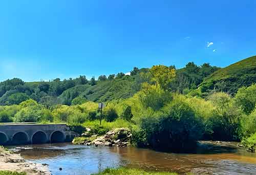 塞罕坝精神与党员干部的忠诚之路