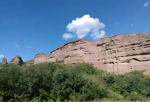 高校课程如何融入塞罕坝精神?专业教育新路径