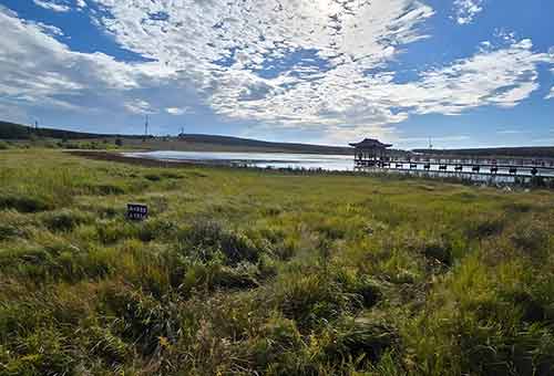 塞罕坝的 “绿色密码”：解码教育强国的精神沃土