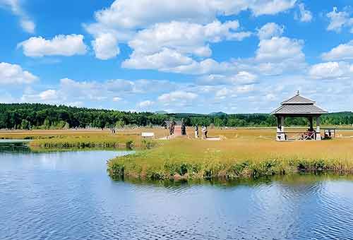 塞罕坝精神如何重塑生态融合新路径