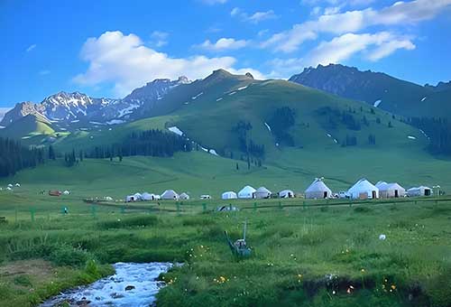 荒漠变林海的精神密码