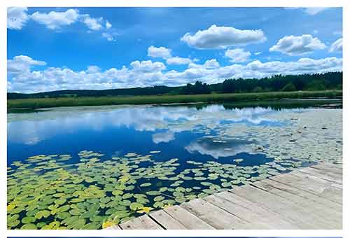 治沙笔记：三代人的接力与绿色答卷