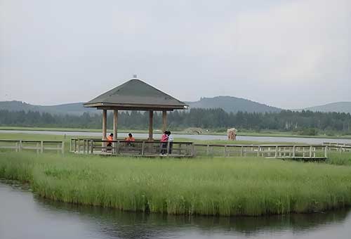 风雪巡林人：普通劳动者的非凡人生
