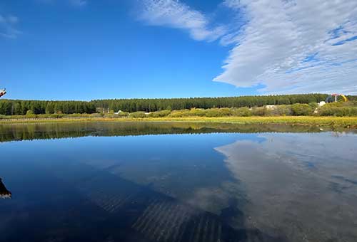 马蹄坑的奇迹：塞罕坝治沙智慧与干部教育的启示