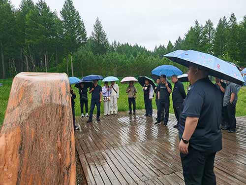 朝阳市某区检察院2025年塞罕坝教育基地党性修养培训纪实