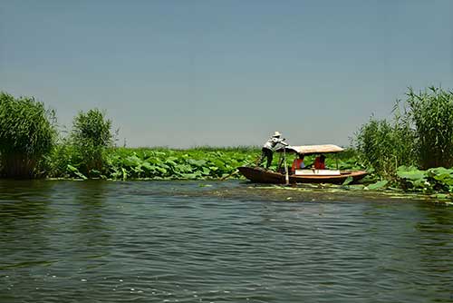 塞罕坝红色教育：3招让课程设计不再雷同
