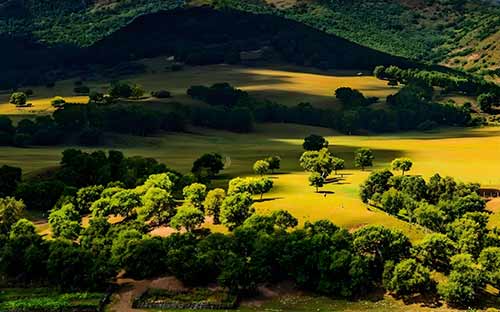 3个塞罕坝奇迹故事：荒漠如何变林海