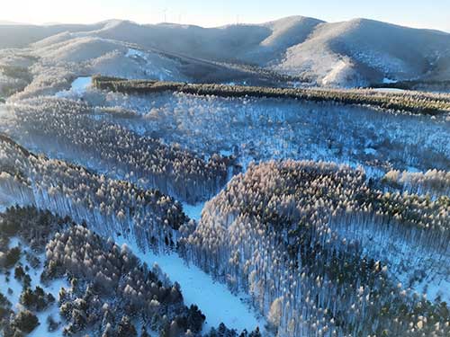 塞罕坝精神为党员干部提供攻坚克难的行动指南