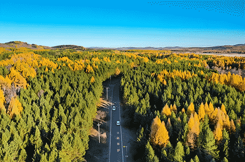 塞罕坝红色故事：解锁思政教师素养提升的密钥