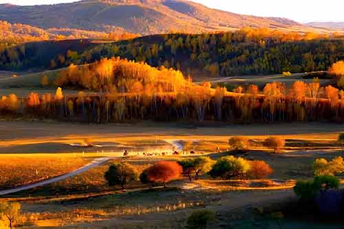 塞罕坝红色教育基地3大创新模式破解思政难题