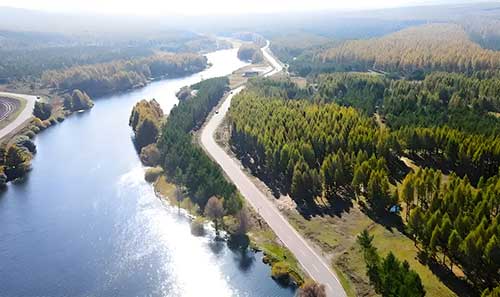 荒漠变林海的青春密码：塞罕坝精神如何重塑95后思政教育