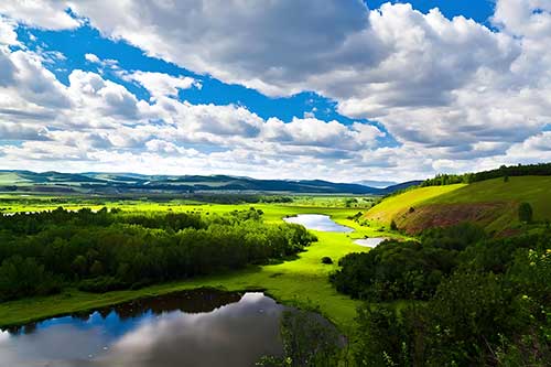 干部政治能力培养的3个关键点：塞罕坝党建经验启示