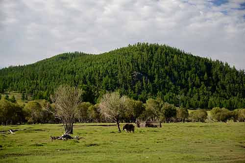 塞罕坝精神与党的建设