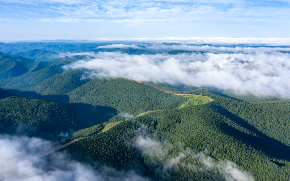 塞罕坝林海的启示：干部成长的 “秘密花园”