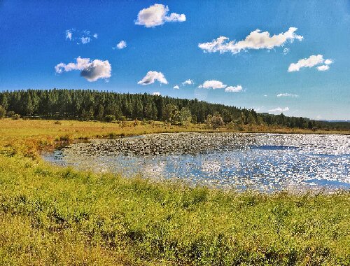 塞罕坝3大党建培训秘笈：荒原变林海的精神传承解密