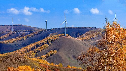 塞罕坝的绿色密码：党员干部双提升实录