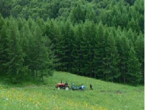 年轮里的治理智慧：塞罕坝干部培训3大突破