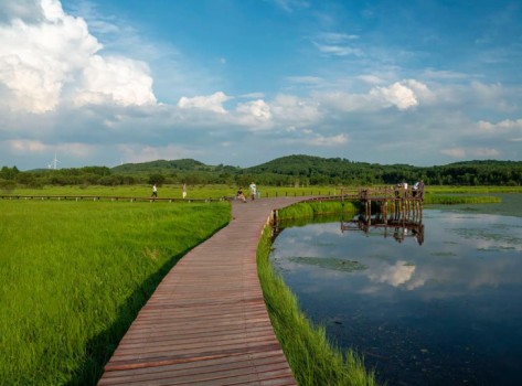 塞罕坝精神赋能干部培训的6大核心力量解析