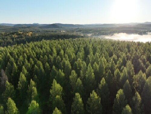 塞罕坝精神重塑党员干部 5 大行为模式