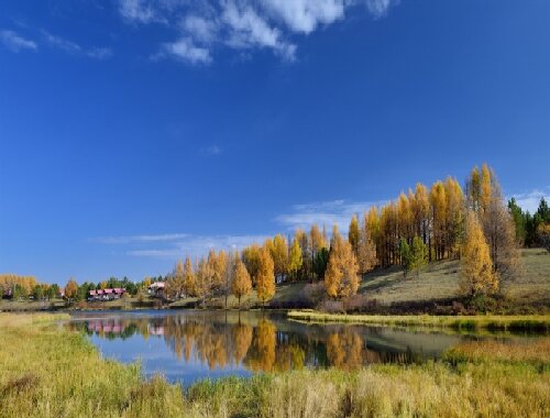 塞罕坝奇迹：党员干部攻坚克难的行动指南