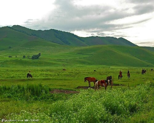 塞罕坝干部培训：听得见松涛的党性教育