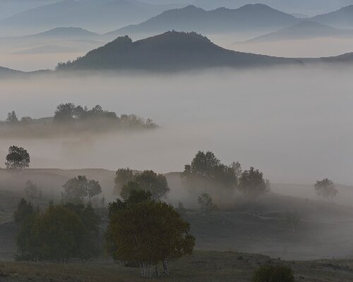 塞罕坝奇迹：3个生态密码解码中国方案
