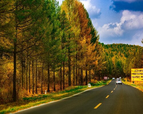 塞罕坝 “三色课堂” 党建培训出圈了