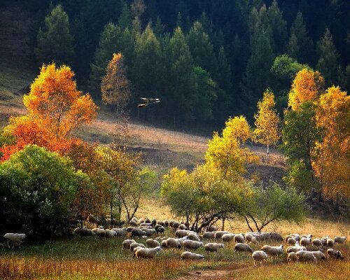 塞罕坝红色教育：泥土党课 3 大秘诀
