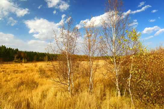 塞罕坝干部培训：7 步淬炼艰苦魂