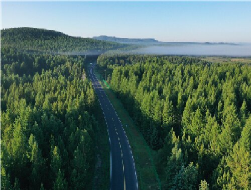 塞罕坝干部培训独创 