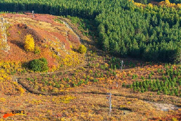 塞罕坝精神发源地：干部培训新坐标