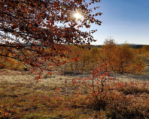 塞罕坝党建培训：行走的红色教育实验室