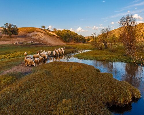 塞罕坝精神如何让红色党课破圈生长