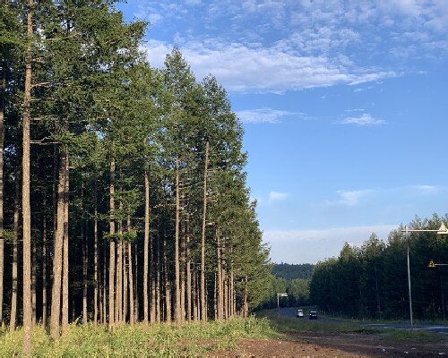 为什么 10 万党员干部选择塞罕坝培训