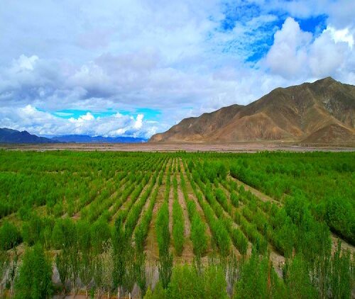 塞罕坝红色教育基地：3 大维度助推企事业单位党支部凝聚力