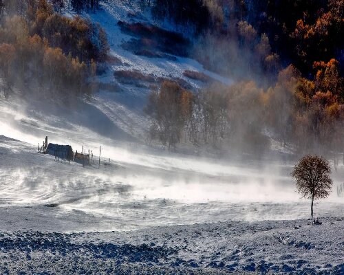 塞罕坝党建培训：党员干部思政素质提升的关键落点