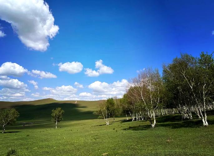 塞罕坝红色教育基地能吸引机关单位，核心在它的 “红色” 够纯粹